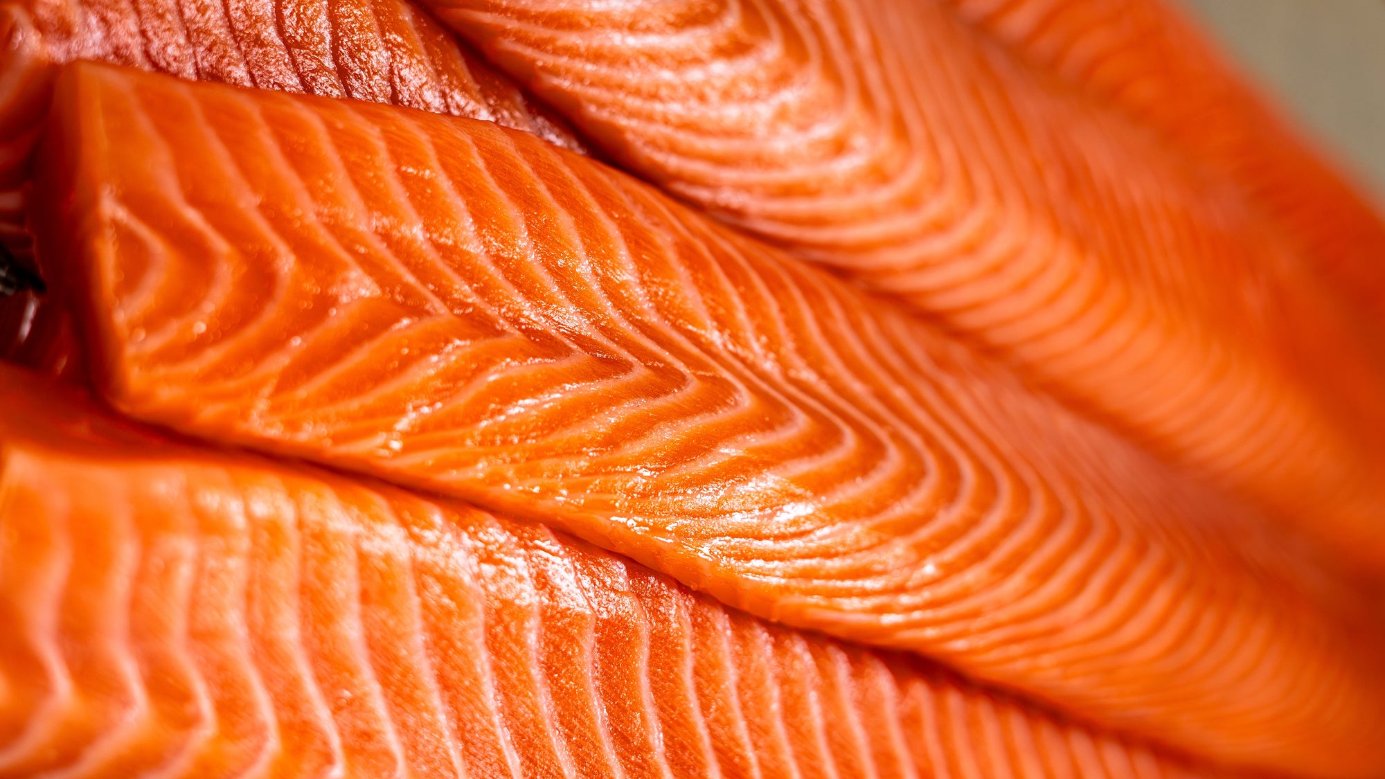 Restaurant Quality, Delivered to Your Door.