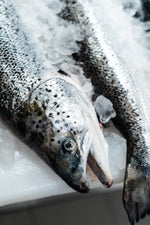 Whole Fresh Atlantic Salmon (4-5kg)